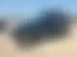 Vehicle Image- 2000 Jeep Wrangler