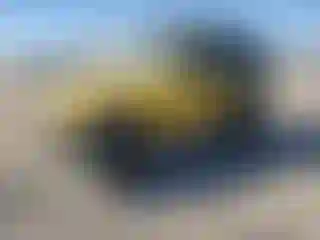 Vehicle Image- 2006 Jeep Wrangler