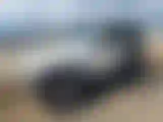 Vehicle Image- 2000 Jeep Wrangler