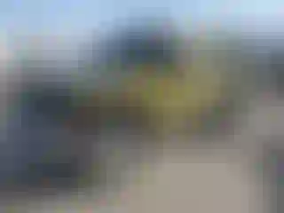Vehicle Image- 2007 Jeep Wrangler