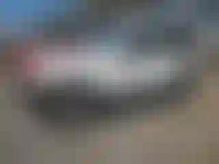 Vehicle Image- 2000 Jeep Wrangler