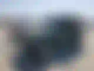 Vehicle Image- 2000 Jeep Wrangler