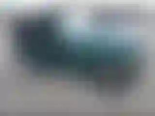 Vehicle Image- 2001 Jeep Wrangler