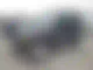 Vehicle Image- 2004 Jeep Wrangler