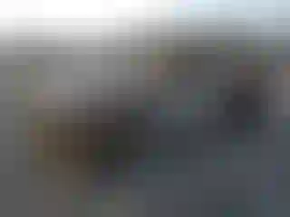 Vehicle Image- 2004 Jeep Wrangler