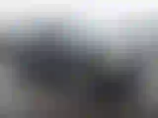 Vehicle Image- 2009 Jeep Patriot