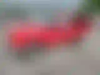 Vehicle Image- 2001 Jeep Grand Cherokee