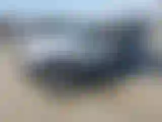 Vehicle Image- 1995 Jeep Grand Cherokee