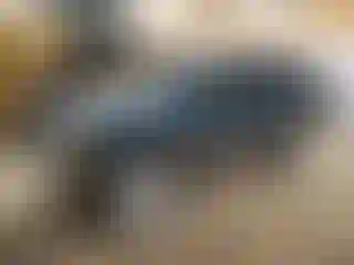 Vehicle Image- 1996 Jeep Grand Cherokee