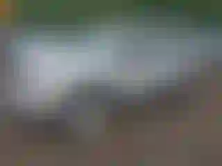 Vehicle Image- 2009 Jeep Patriot