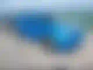 Vehicle Image- 2009 Jeep Patriot