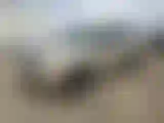 Vehicle Image- 2009 Jeep Patriot
