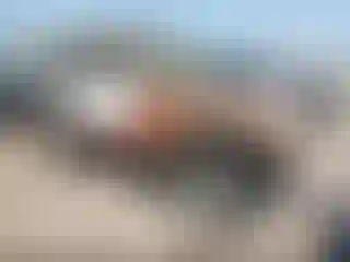 Vehicle Image- 1994 Jeep Wrangler