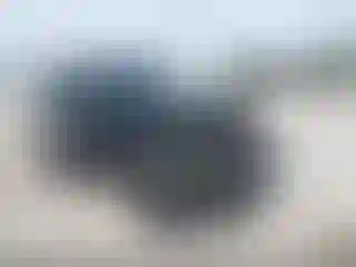 Vehicle Image- 1999 Jeep Wrangler