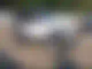 Vehicle Image- 1998 Jeep Wrangler