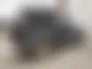 IMPORTOWO.pl