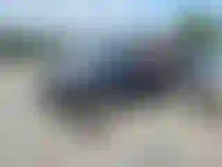 Vehicle Image- 1998 Jeep Wrangler
