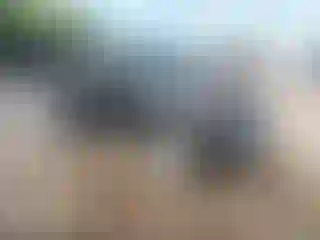 Vehicle Image- 1999 Jeep Wrangler