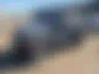 Vehicle Image- 1998 Jeep Wrangler