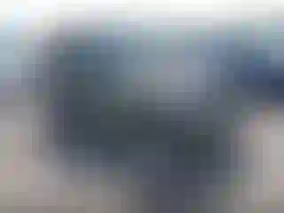 Vehicle Image- 1995 Jeep Wrangler