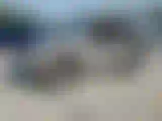 Vehicle Image- 1999 Jeep Grand Cherokee
