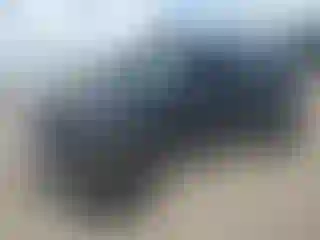 Vehicle Image- 2007 Jeep Wrangler