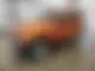 Vehicle Image- 2011 Jeep Wrangler