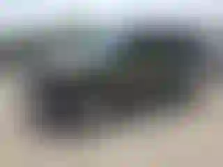 Vehicle Image- 2008 Jeep Wrangler