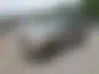 Vehicle Image- 2003 Jeep Liberty