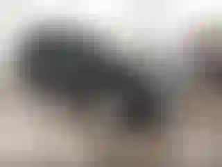 Vehicle Image- 2004 Jeep Grand Cherokee