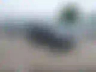 Vehicle Image- 2004 Jeep Grand Cherokee