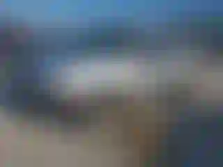 Vehicle Image- 2004 Jeep Grand Cherokee