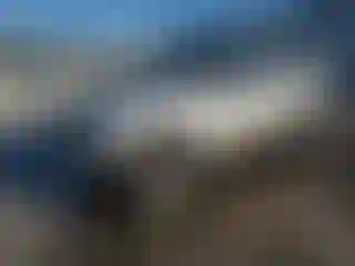 Vehicle Image- 2003 Jeep Grand Cherokee