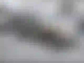 Vehicle Image- 2001 Jeep Grand Cherokee