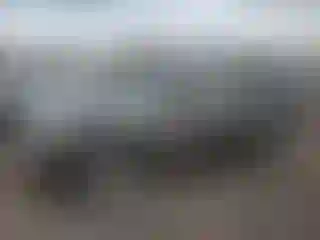 Vehicle Image- 2002 Jeep Grand Cherokee