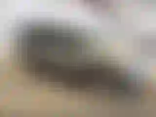 Vehicle Image- 2001 Jeep Grand Cherokee