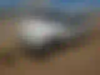 Vehicle Image- 1999 Jeep Grand Cherokee