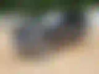 Vehicle Image- 2004 Jeep Grand Cherokee