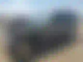 Vehicle Image- 1997 Jeep Grand Cherokee