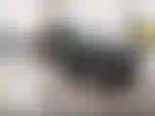 Vehicle Image- 1994 Jeep Grand Cherokee