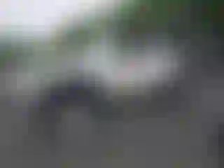 Vehicle Image- 2010 Jeep Wrangler