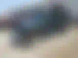 Vehicle Image- 2010 Jeep Wrangler