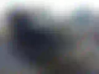 Vehicle Image- 2011 Jeep Wrangler