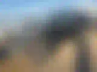 Vehicle Image- 2010 Jeep Wrangler