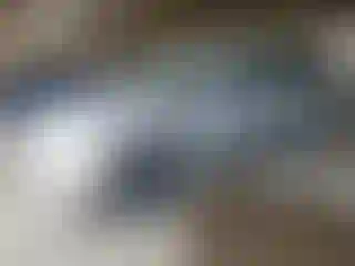 Vehicle Image- 2006 Jeep Grand Cherokee