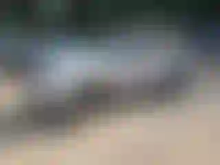 Vehicle Image- 2005 Jeep Grand Cherokee