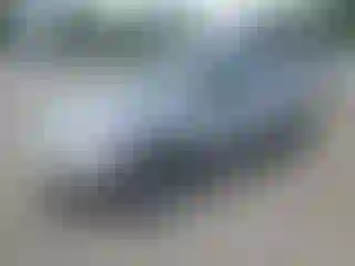 Vehicle Image- 2011 Jeep Patriot