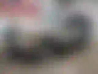 Vehicle Image- 2010 Jeep Grand Cherokee