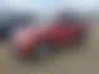 Vehicle Image- 2011 Jeep Grand Cherokee