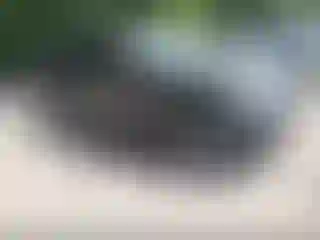 Vehicle Image- 2011 Jeep Grand Cherokee